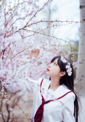 丁香花免费高清完整